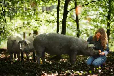 Rebecca Gischel mit Waldschwein